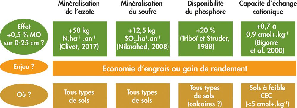 Améliorer la fertilité du sol afin de garantir de meilleurs rendements -  Peut-on cultiver sans chimie ?