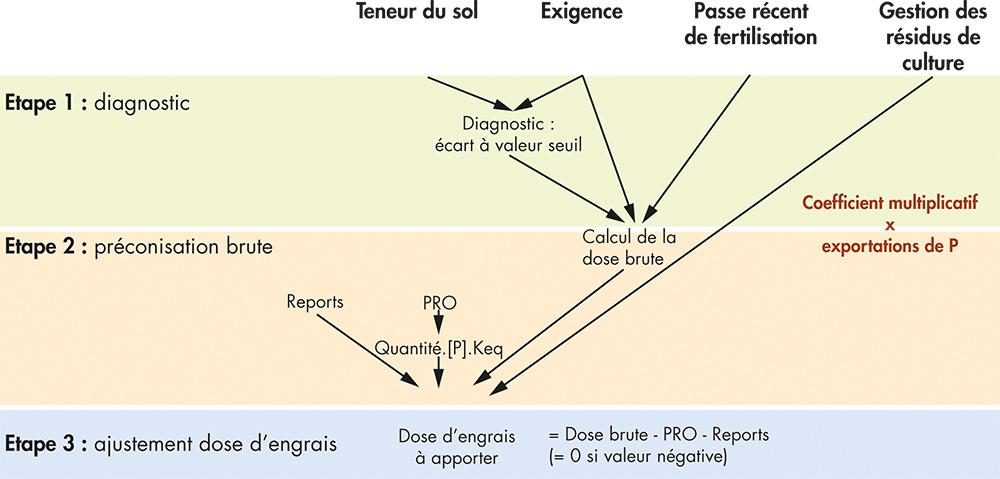 La fertilisation des sols : 3 méthodes naturelles