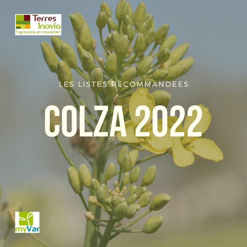 listes recommandées colza 2022 - terres inovia