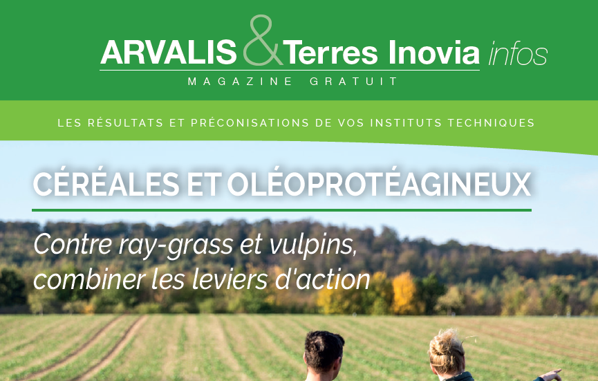 Arvalis & Terres Inovia infos