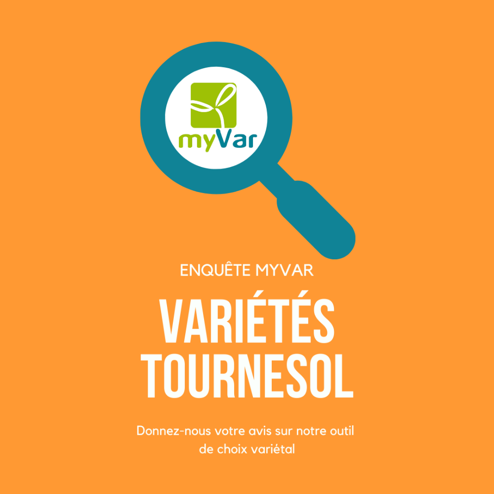 enquête MyVar variétés tournesol 2021