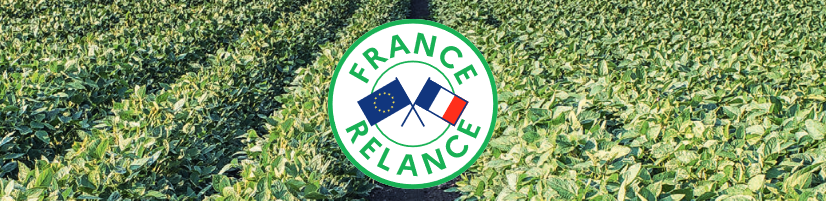 France relance : plan protéines végétales 