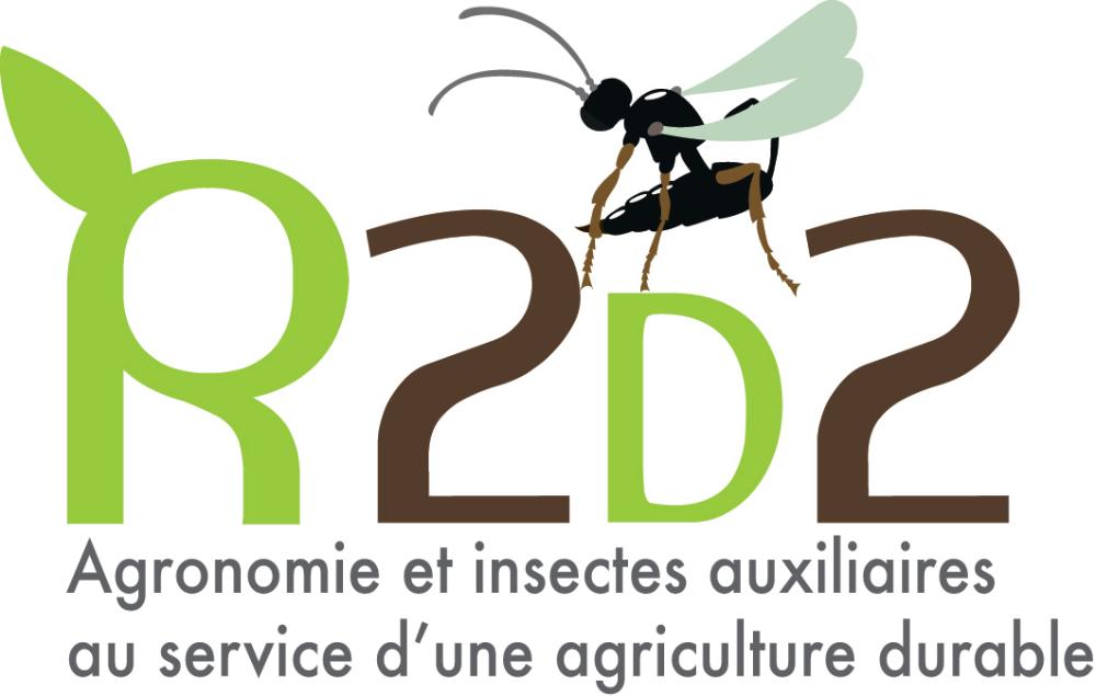 logo R2D2