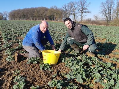 Michel Doyen, polyculteur éleveur en Moselle, pèse ses colzas en sortie d’hiver, ici avec son père.