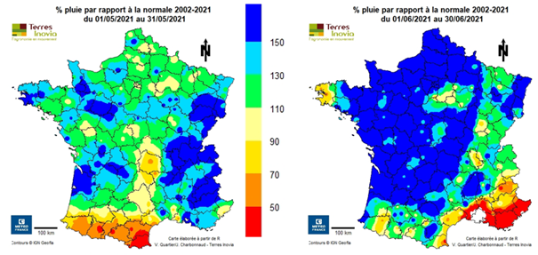 Effet pluviométrie sur implantation colza 2021