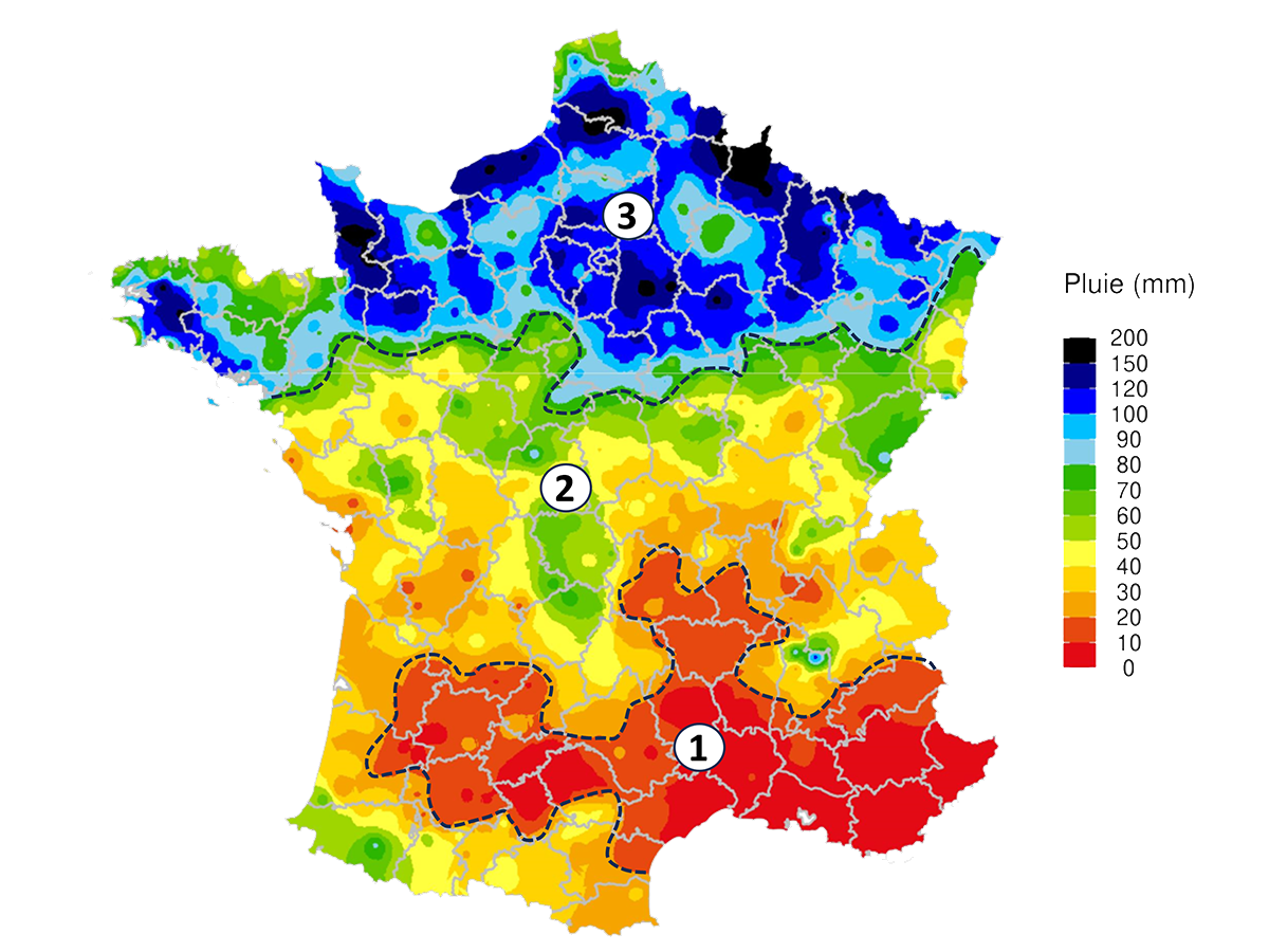 Faut-il déclencher le semis des colzas ?