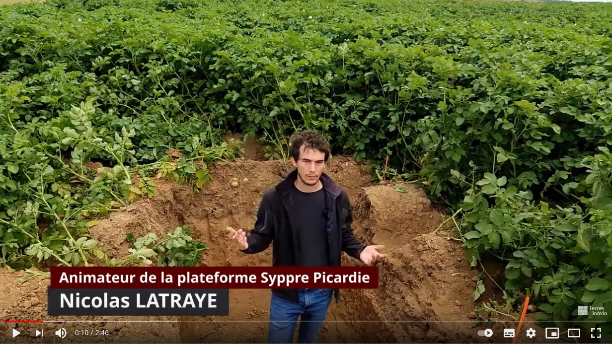 La fertilité des sols évaluée sur la plateforme Syppre Picardie