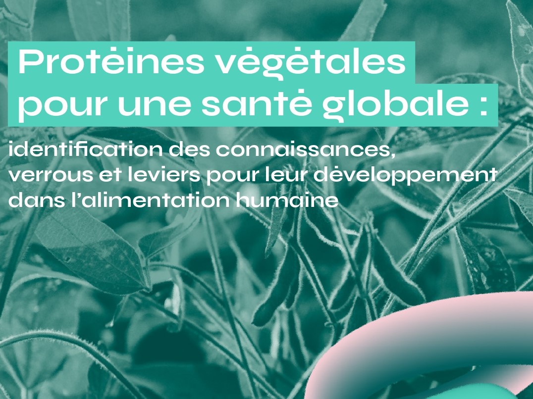 Livre blanc - Octobre 2022 Protéines végétales pour une santé globale : identification des connaissances, verrous et leviers pour leur développement dans l’alimentation humaine