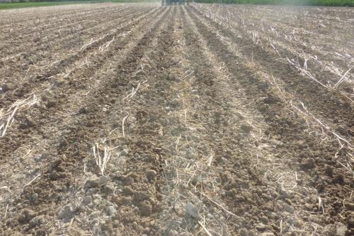 Strip-till ligne non refermée