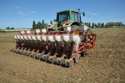 conséquences des pluies abondantes sur les prochains semis de colza