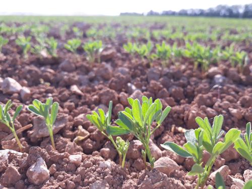 La demande de dérogation 120 jours pour SENCORAL SC sur lentille est refusée