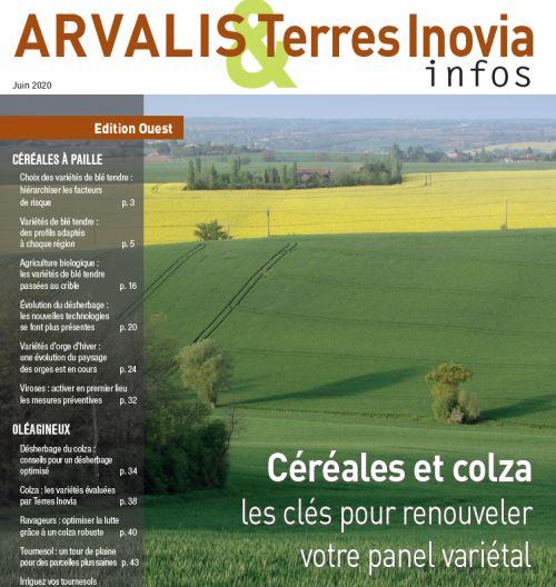 Le dernier numéro d'Arvalis Terres Inovia Infos vient de sortir