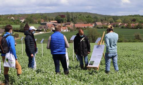 Une trentaine d'agriculteurs réunie autour de 4 ateliers concernant le pois d'hiver en Ile-de-France