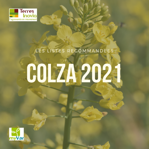 Les listes recommandées colza 2021 - Terres Inovia