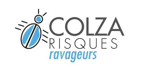 terres inovia ravageur charançon altise cap protéines colza