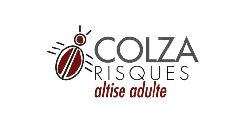 Logo-Colza-risques-ravageurs