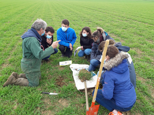 cap protéines accompagnement outil landfiles journées agriculture territoire