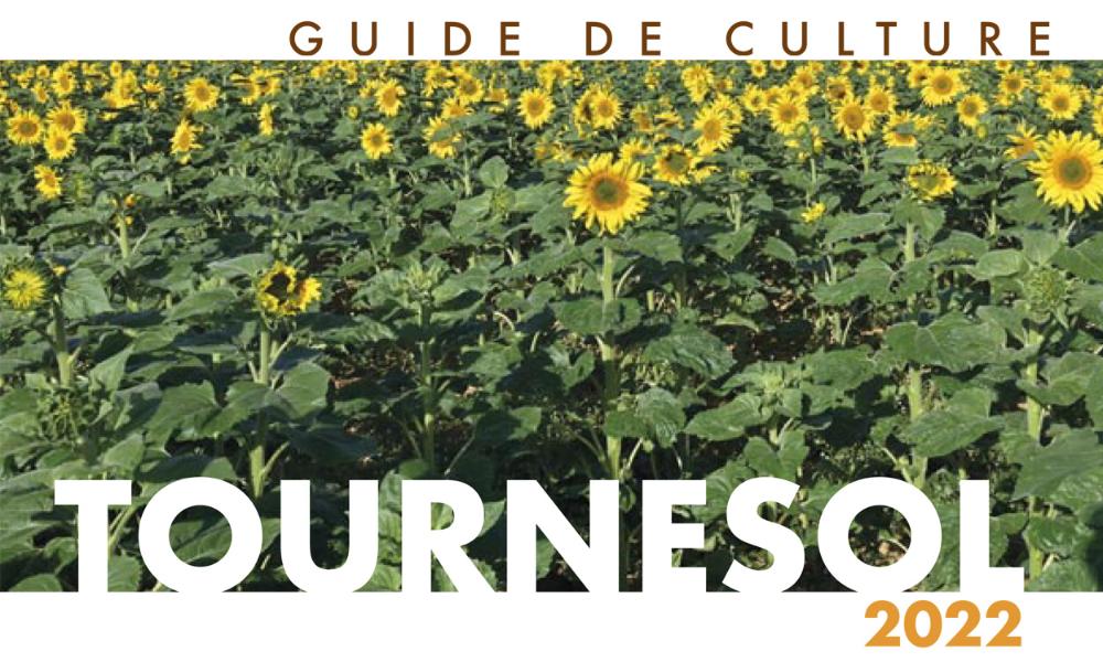 guide-de-culture-tournesol-2022