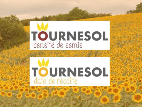 OAD densité et récolte tournesol