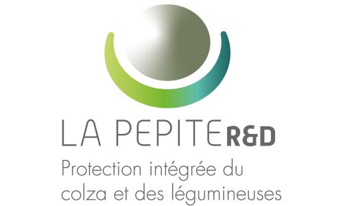 logo pepite rd inrae terres inovia