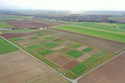 Syppre Picardie - Terres Inovia - Laurent Jung