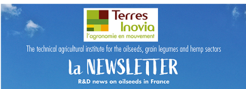 newsletter R&D de Terres Inovia