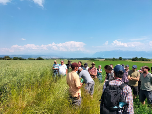 R2D2 meets Swiss farmers