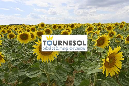 outil de calcul de la marge brute du tournesol terres inovia