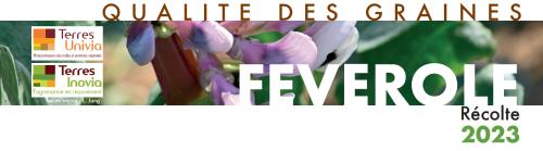 fiche qualité des graines féverole