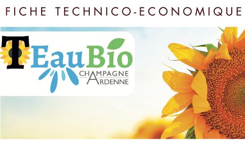 TEauBio tournesol bio Champagne-Ardenne Terres Inovia