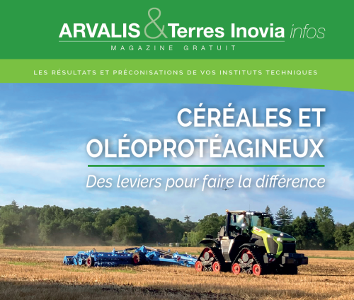 Arvalis & Terres Inovia infos septembre 2024