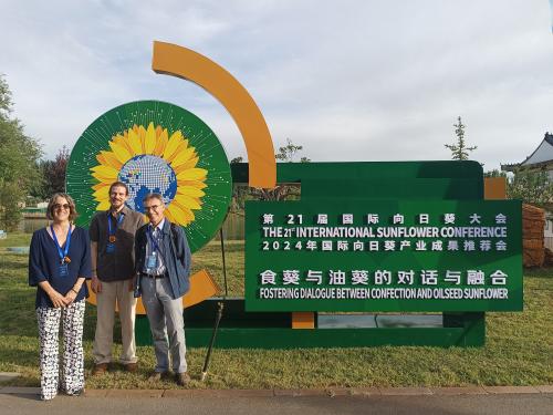 Collaborateurs de Terres Inovia présents à la 21e conférence de l'International sunflower assciation