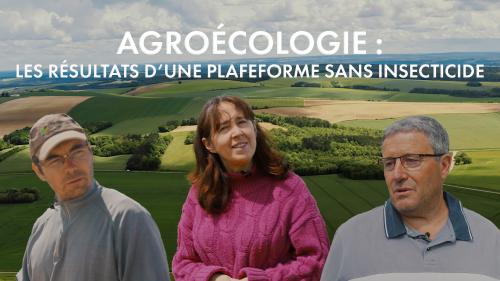 Les pieds dans les champs chez Denis Perrault