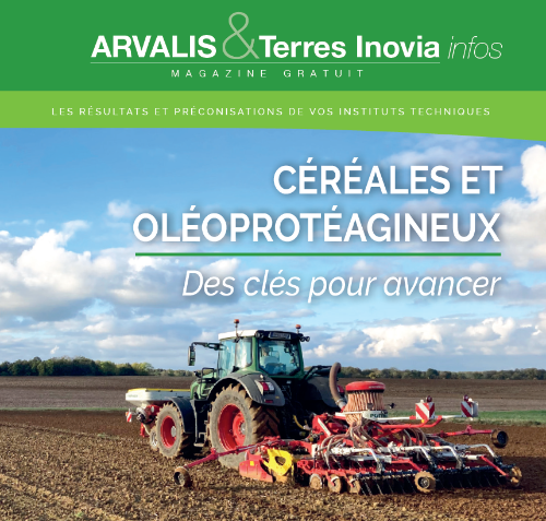 oléoprotéagineux tracteur désherbage altises