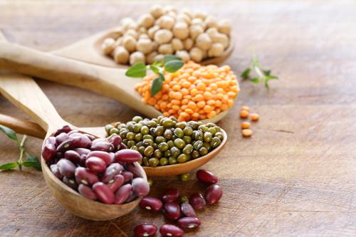 173 échantillons de lentille, 105 échantillons de pois chiche et 94 échantillons de haricot sec ont été réunis.