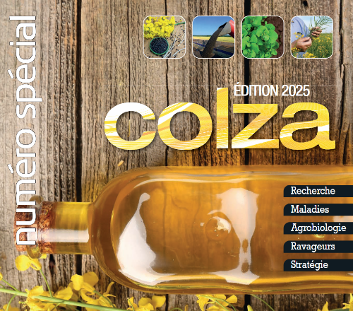 supplément colza 2025 - Terres Inovia - Groupe Réussir