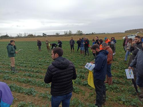 Échange entre techniciens et agriculteurs - Terres Inovia