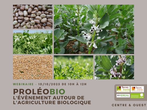 Le groupe de travail PROLEOBIO (UFAB, Terres Inovia et Axereal) pour la région Centre & Ouest vous propose une session webinaire pour échanger sur les problématiques bio dans l'ouest de la France.