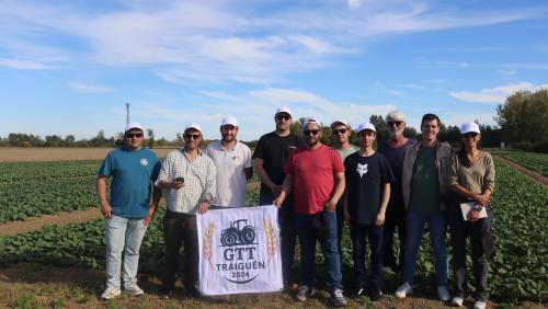 Terres Inovia En Crambade Chili