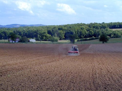 Semis du soja : adopter les bonnes pratiques