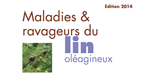 petit_guide_ravageurs_maladies_lin.png