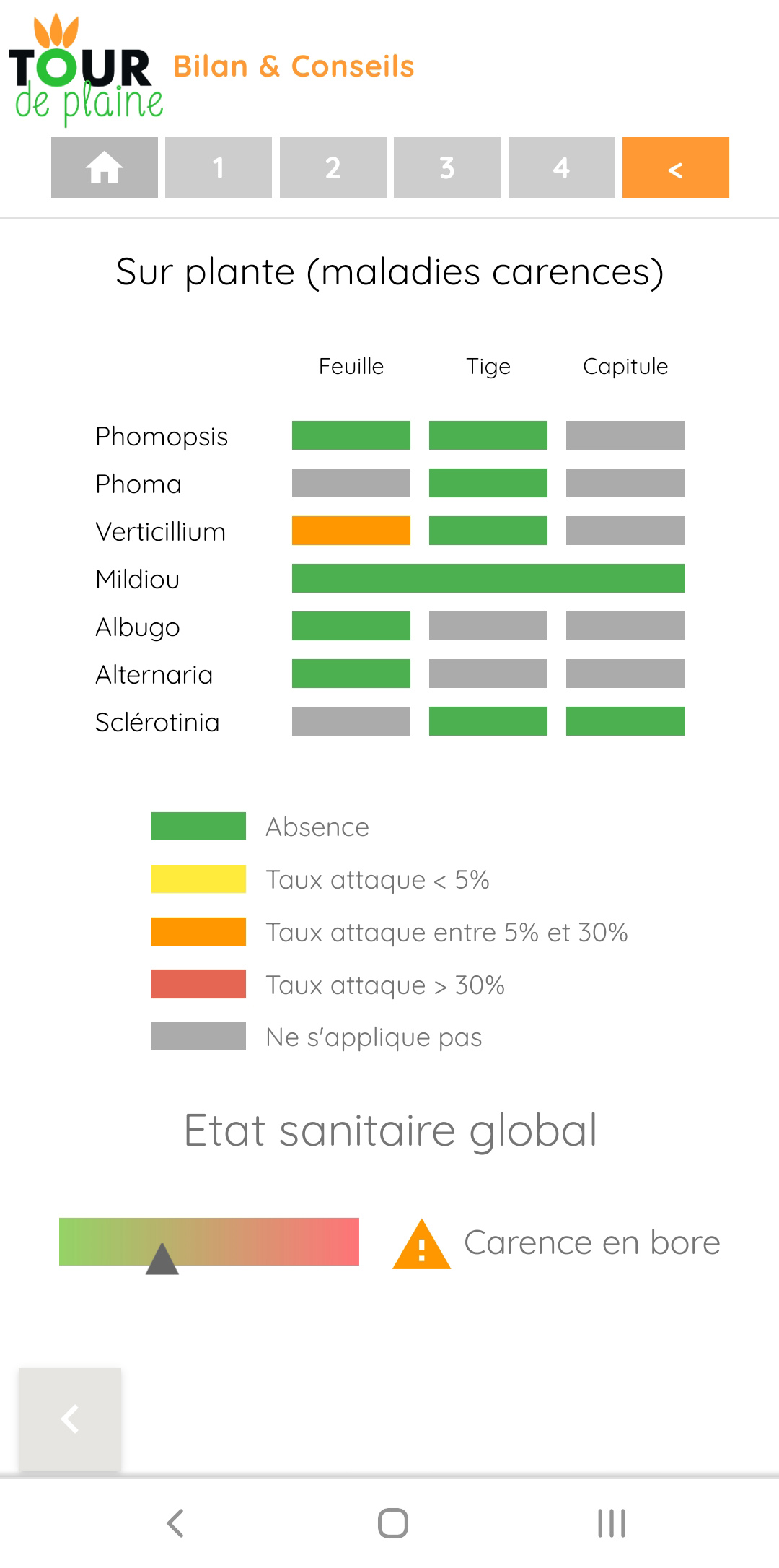 Diagnostic - Tour de plaine