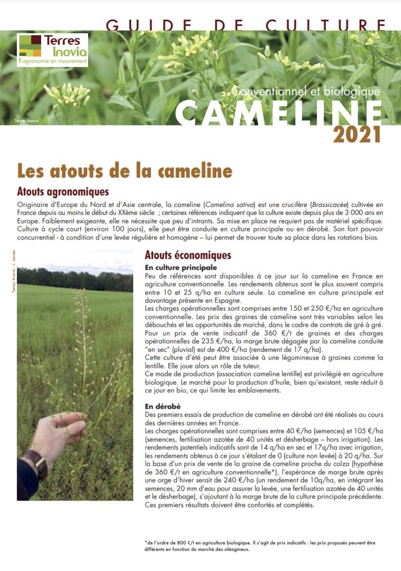 guide_de_culture_cameline_2021_couverture.jpg