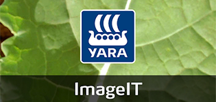 yara_imageit_p.png