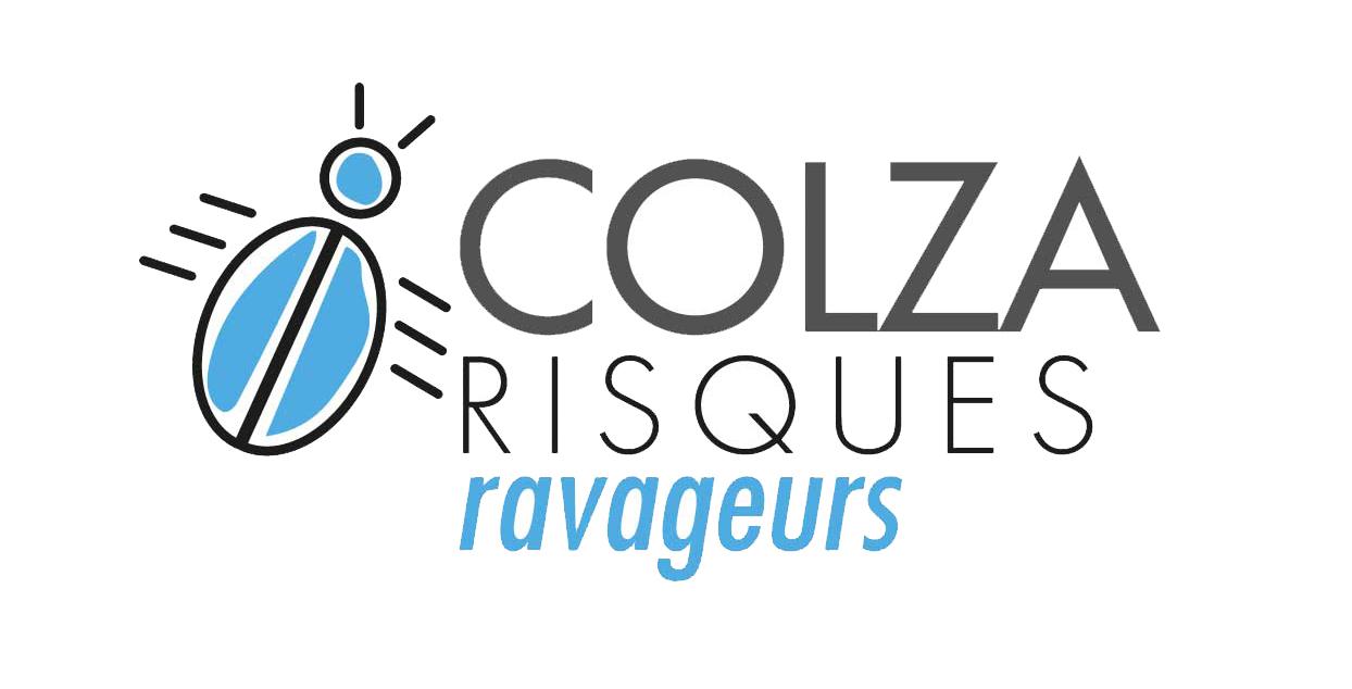 Logo-Colza-risques-ravageurs-large.jpg