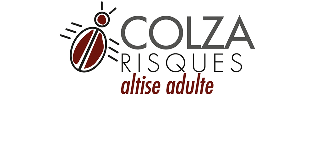 Logo-Colza-risques-altise-adulte.jpg