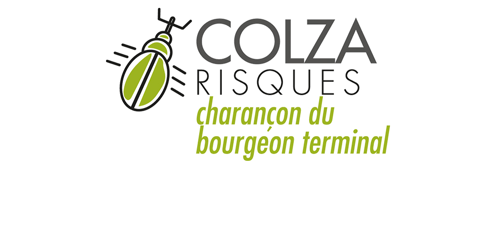 logo-Colza-Risques-CBT-commerce.jpg