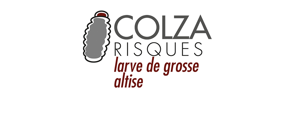 logo-Colza-Risques-Larve-Grosse-Altise-commerce.jpg
