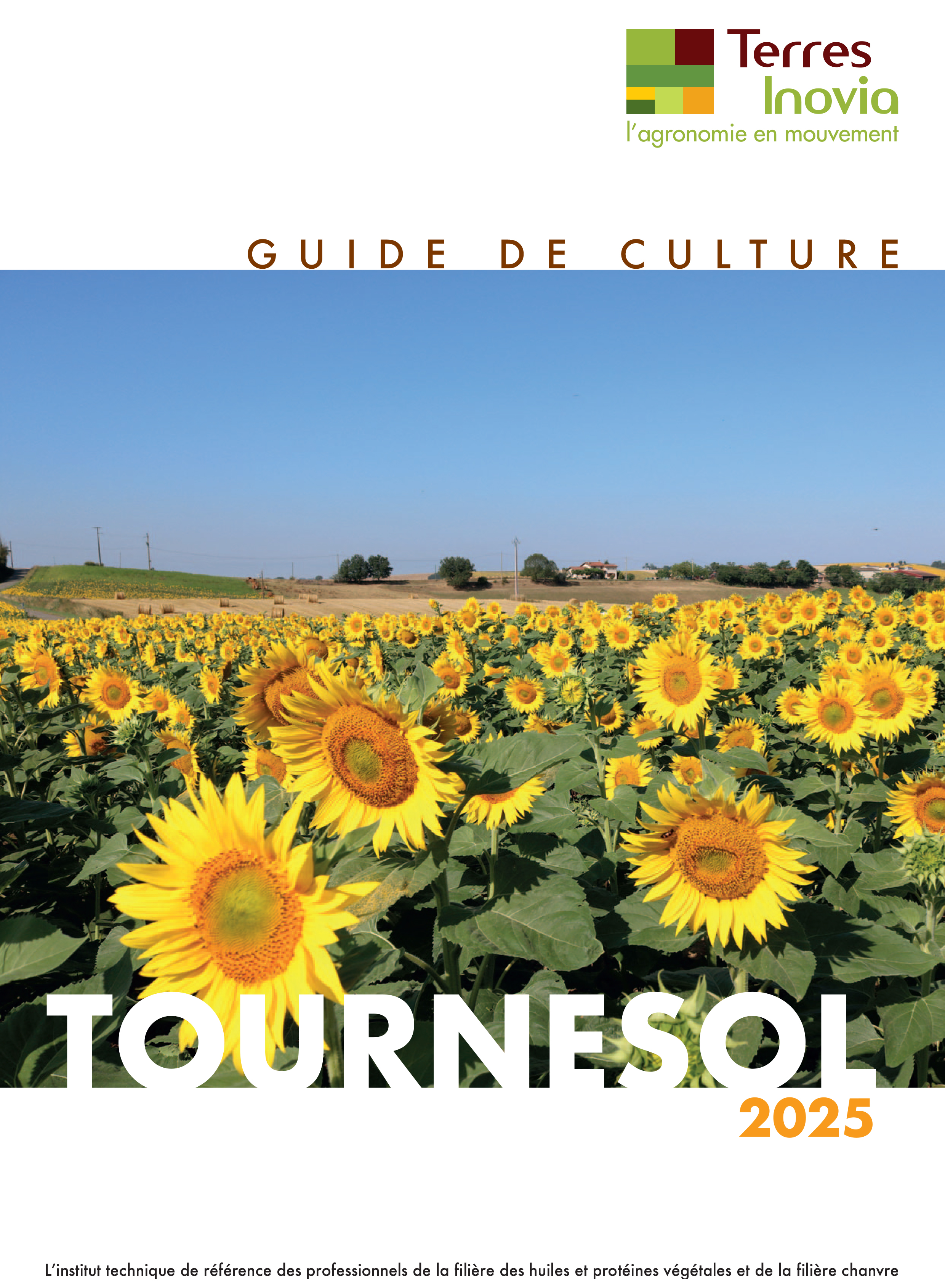 Guide de culture tournesol 2022