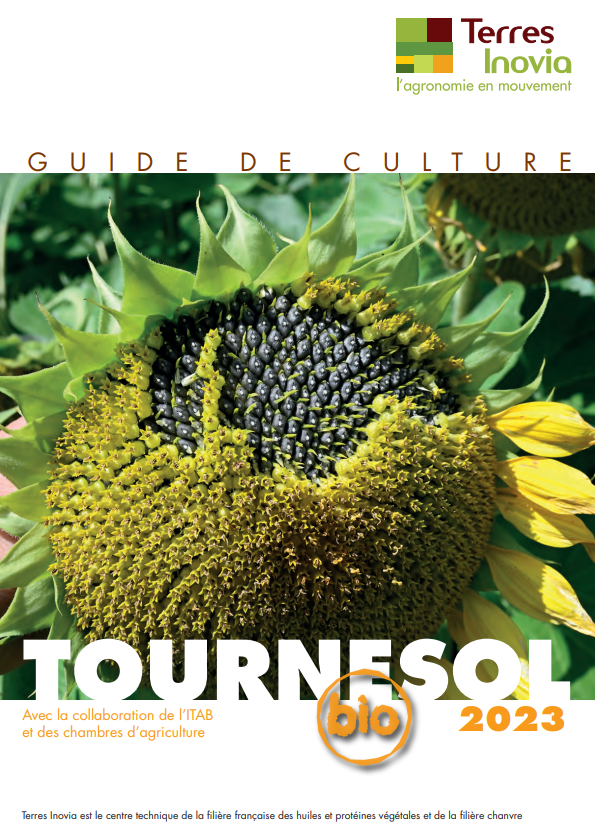 Guide de culture tournesol bio 2023